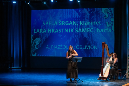 Proslava obcˇine Lasˇko_-55